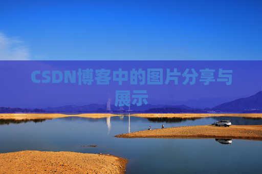 CSDN博客中的图片分享与展示